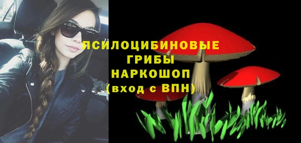 PSILOCYBIN Горняк