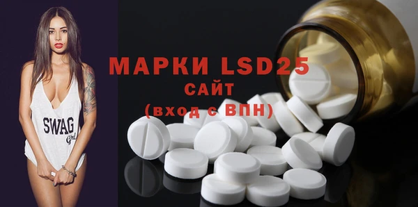 PSILOCYBIN Горняк