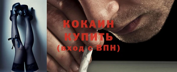 PSILOCYBIN Горняк