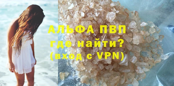 PSILOCYBIN Горняк