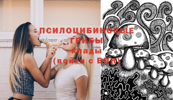 сатива Горно-Алтайск