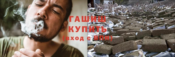 сатива Горно-Алтайск