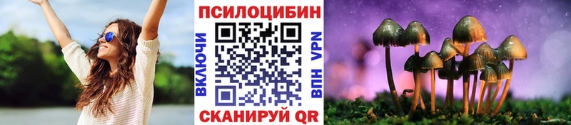 Галлюциногенные грибы GOLDEN TEACHER  Купить закладки  Трубчевск 